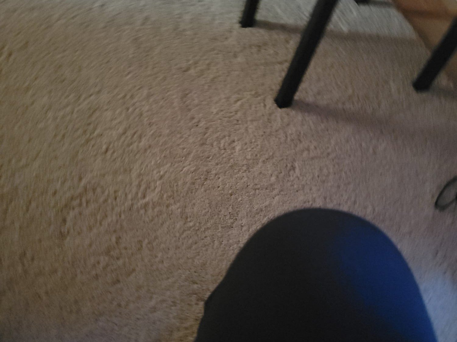 Solano's Cleaning Services